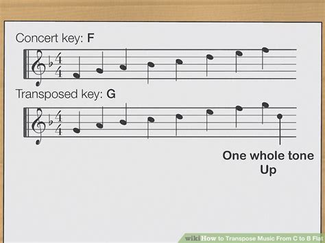 how to transpose music to a different key and why understanding the concept of transposition can enhance your musical creativity