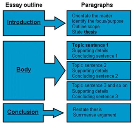 what is a body paragraph in an essay? how does the structure of a body paragraph contribute to the overall coherence of an essay?